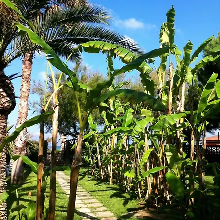 Bed & Breakfast Giada