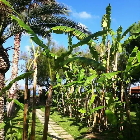 Bed & Breakfast Giada 4*