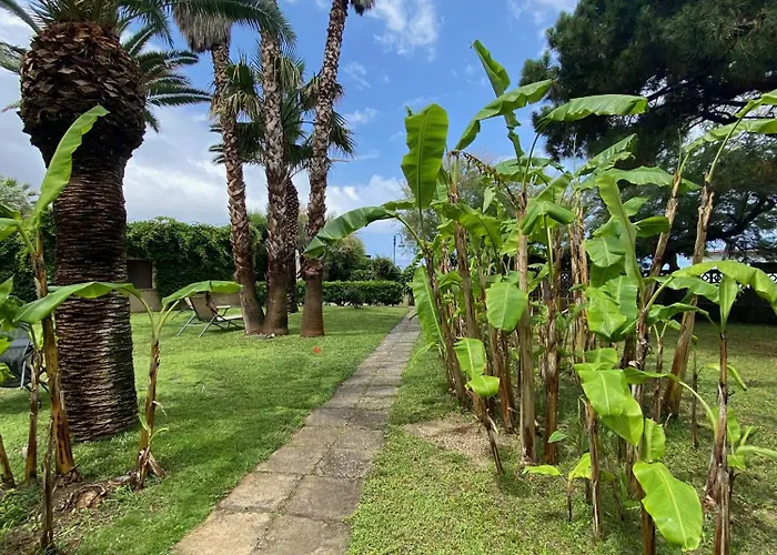 基亚达别墅酒店 住宿加早餐酒店 特罗佩阿