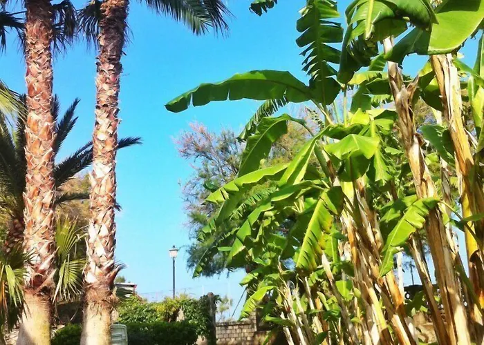 基亚达别墅酒店 住宿加早餐酒店