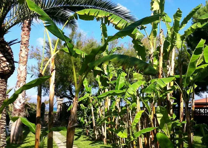 住宿加早餐酒店 基亚达别墅酒店